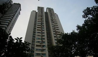 赤坎顺景房产怎么样(赤坎顺景房产怎么样啊)
