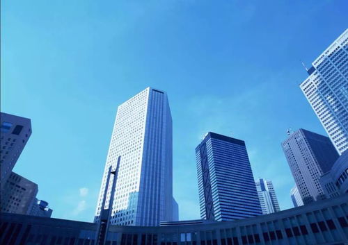 魏海波房产咨询怎么样(魏海波房产咨询怎么样啊)
