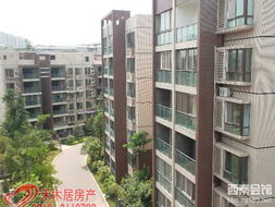 鲁山烁居房产怎么样