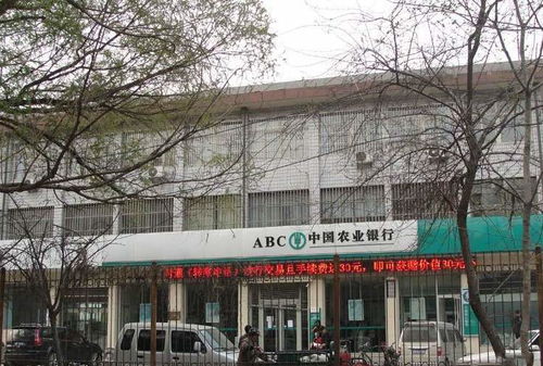 瑞安丽鑫房产怎么样(瑞安市力鑫汽摩配件有限公司)
