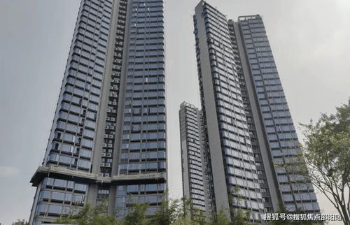 哈尔滨金地房产怎么样啊(哈尔滨金地房产怎么样啊知乎)