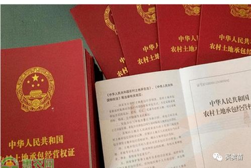 沛县房产证怎么办(沛县房产证办理最新流程手续)