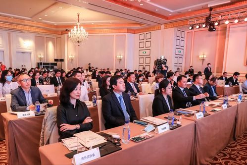 合肥政府投资房产怎么样(合肥政府投资房产怎么样知乎)