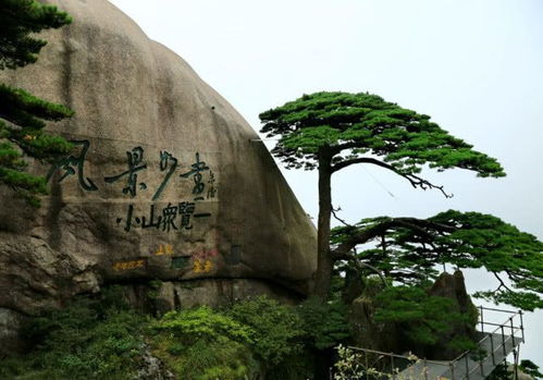 黄山易弘房产怎么样(黄山易弘房产怎么样啊)