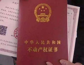 名下房产查询公司怎么查(查名下房产去什么部门)