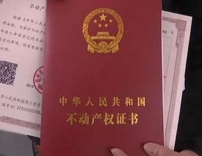 租房怎么知道房产证号码(租房怎么知道房产证号码是多少)