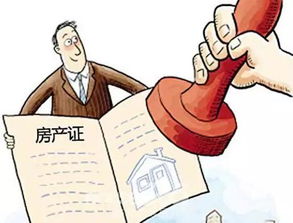 房产新人逆袭经历怎么写(房产新人心得)