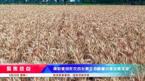 麦田房产顾问工作怎么样(麦田房产工作怎么样谁知道?
