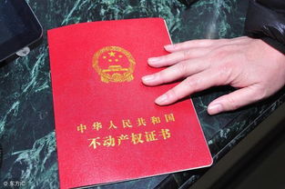 广州房产证怎么查办理(广州如何查询房产证办理进度)