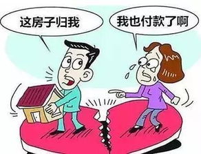 婚姻法怎么共有房产(婚姻法共同财产怎么分配)