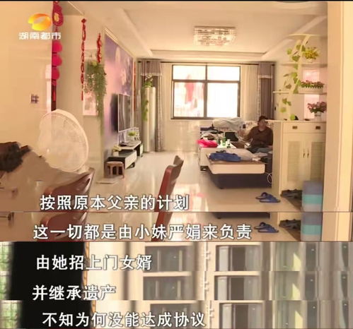 有五个女儿房产怎么分(家里5个女儿)