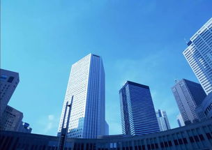 正大房产行业怎么样(正大集团房地产产业)