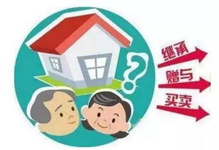 子女意外过世房产怎么办(子女意外过世房产怎么办理)