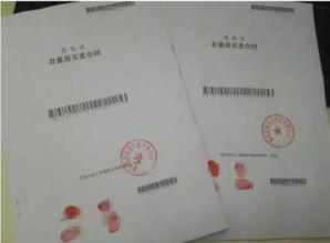 房产销售合同怎么改(房产销售合同怎么改签)