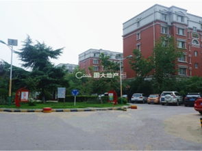 卓达集团房产怎么样(卓达集团房产怎么样啊)