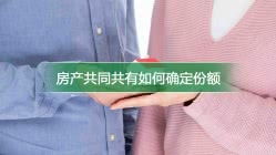 共同共有房产份额怎么算(共同共有房产份额如何确定)