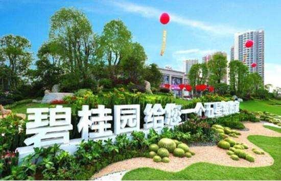 碧桂园房产部门怎么样(碧桂园房产公司怎么样)