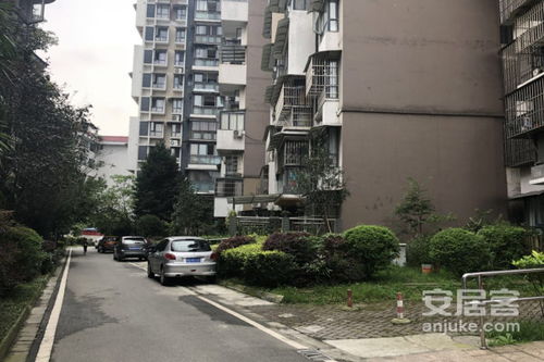 丽水小丽房产怎么样(丽水小处)