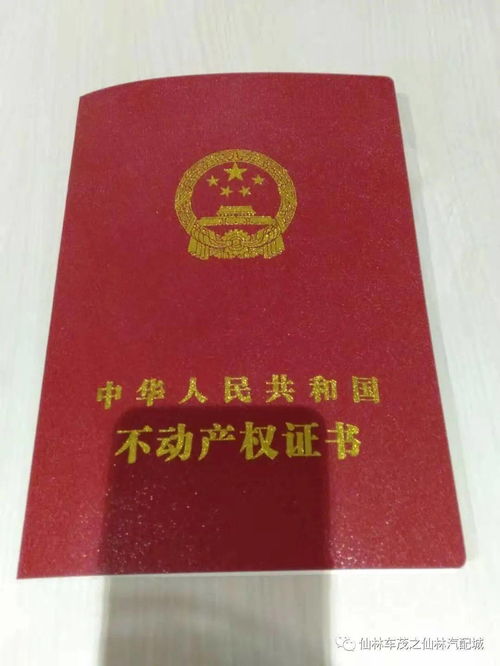 怎么查名下商铺房产证(怎么查名下商铺房产证号)