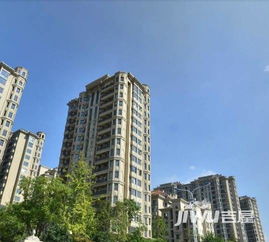 温州金哥房产怎么样(温州金歌)