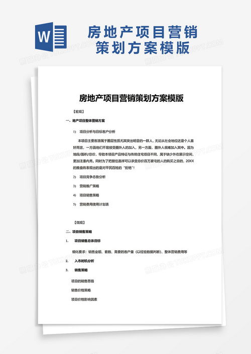 销售房产项目流程怎么写(房产项目销售策划方案)