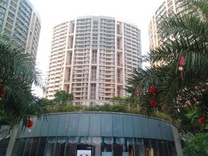 霸州博华房产怎么样(霸州市博雅颐庭户型图)