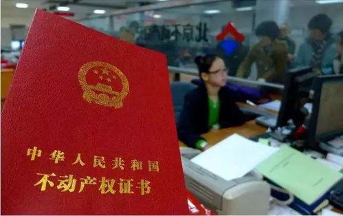法院不处置房产怎么办理(法院处置不动产的规定)