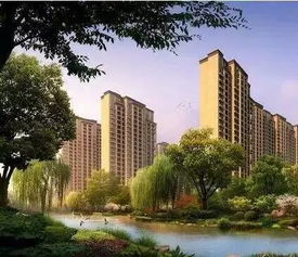 浔阳诚信房产怎么样(浔阳诚信房产怎么样知乎)