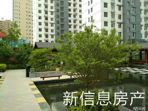 沈丘房产顶楼怎么样啊(沈丘房产顶楼怎么样啊最新消息)