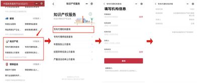 怎么查本人房产户号信息(如何查询房产户主信息)