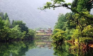 恩施燕子房产怎么样(湖北省恩施市三岔乡燕子坝村)