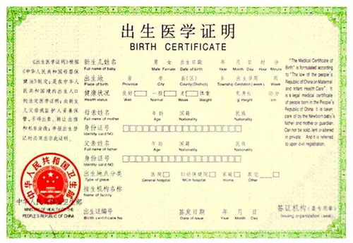 入学提交房产资料怎么写(入学提交房产资料怎么写申请)