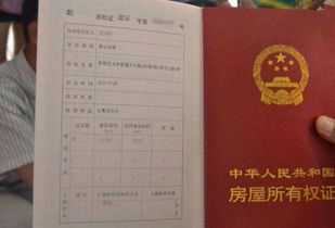 房产类怎么写标签好呢(房屋标签怎么写)