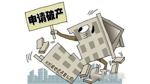 房产商人破产怎么办(房产商倒闭了,买房的人怎么办)