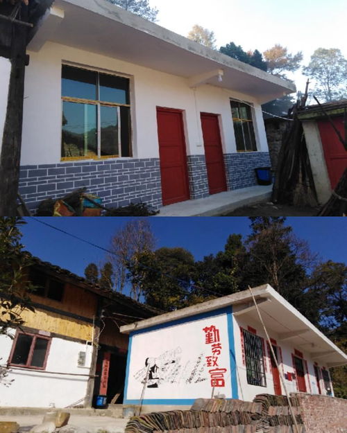 王富贵的房产怎么样(王富贵的店质量怎么样)