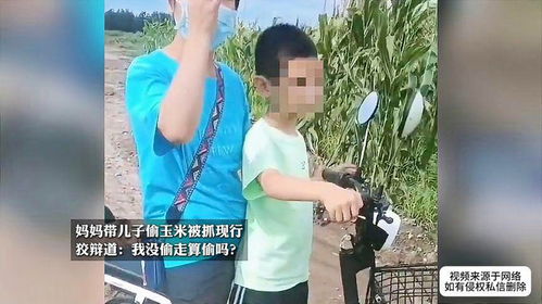 儿子偷走房产怎么办手续(儿子偷盗,父母有偿还义务吗)