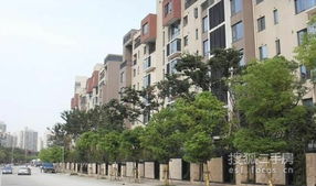 立仁房产洋房怎么样(立仁实验学校怎么样)