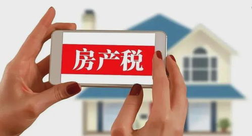 湛江房产税怎么交网上(湛江房产税怎么交网上缴费)