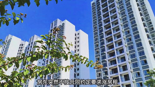 租房要怎么查房产信息(租房要怎么查房产信息呢)