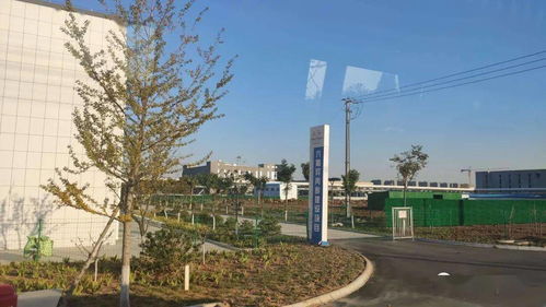 鲁南制药投资房产怎么样(鲁南制药新建项目)
