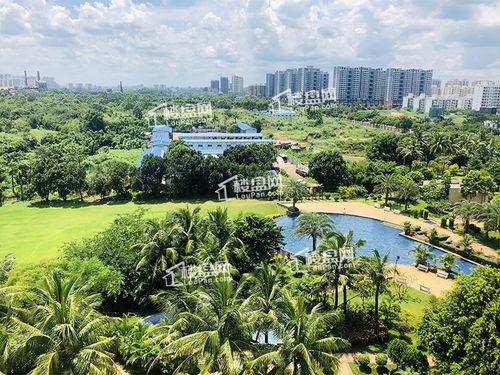 临高房产未来前景怎么样(临高房子发展前景如何)