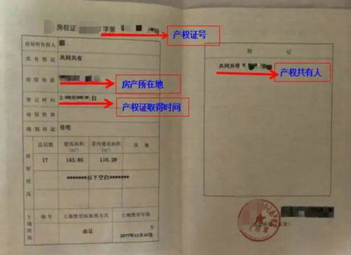 小升初房产证号怎么填写(小升初报名房产证号录哪个)