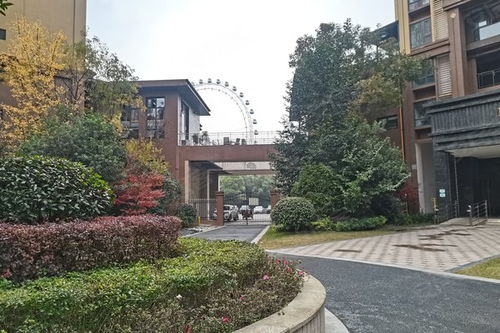 东湖风景区房产怎么分(东湖风景区房子)
