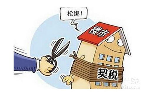 怎么看交了多少房产契税(怎么看自己交了多少契税)