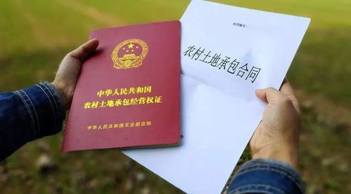 房产确权漏掉名字怎么办(房屋确权被遗漏怎么补办)