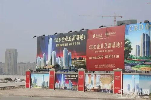 浙江和泰房产怎么样(浙江和泰房地产开发公司)