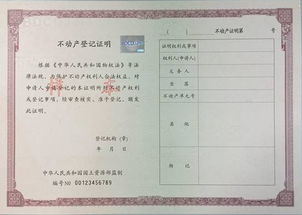 买房后怎么问房产证(买房后怎么问房产证办理情况)