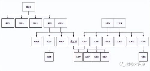 独生女房产继承怎么合适(独生女房子)