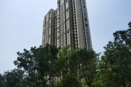 郑州长城房产怎么样(郑州长城房屋集团口碑)
