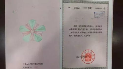 房产证怎么补办在哪里(房产证补办在哪里办)